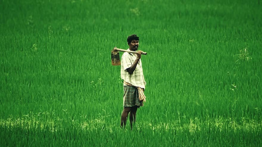 rural-India